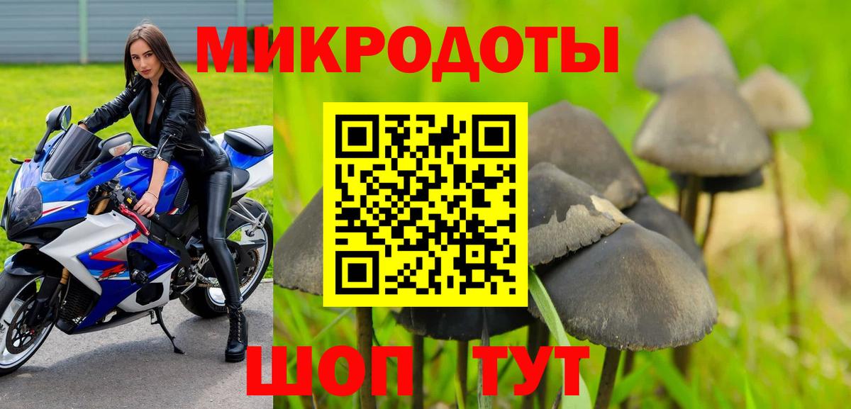 Галлюциногенные грибы Cubensis Магнитогорск