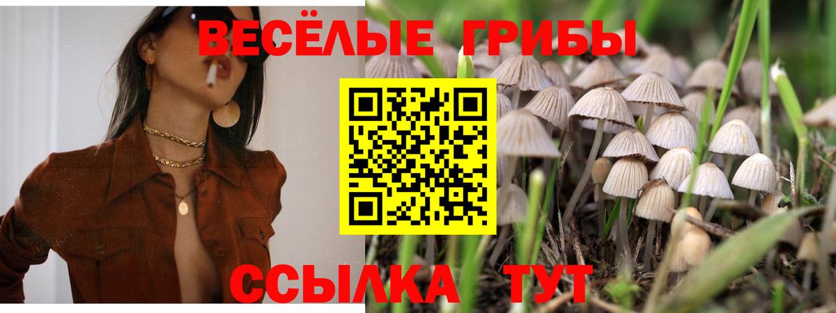 что такое наркотик  Вход с VPN  Галлюциногенные грибы Psilocybine cubensis  Магнитогорск  Галлюциногенные грибы MAGIC MUSHROOMS 